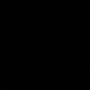 Meet your Posher, Lilah